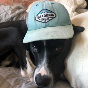 Meet your Posher, Leigh